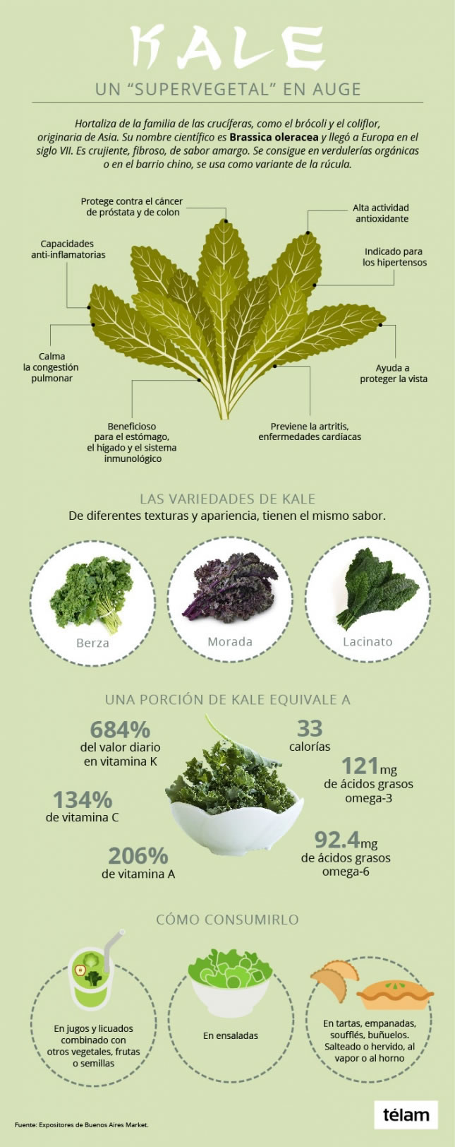 Beneficios nutritivos de la hortaliza KALE